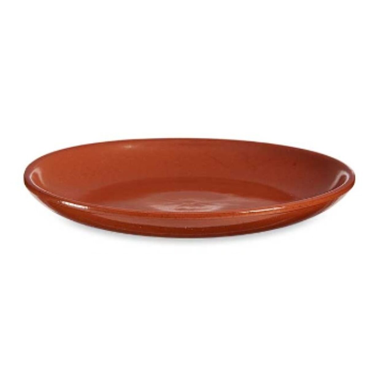 Flat Plate Baked clay 23 x 2 x 23 cm Meat (10 Units)