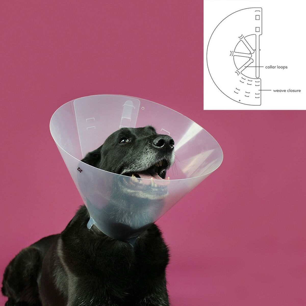 Lampenkap voor honden KVP Betsy Transparant (22-26 cm)