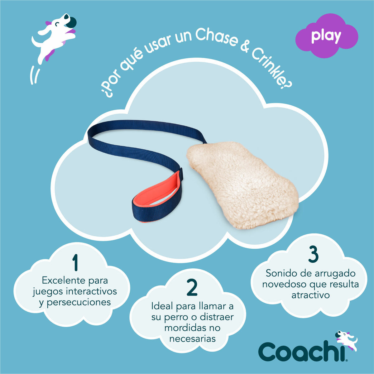 Training toy Coachi CHASE & CRINKLE Blue
