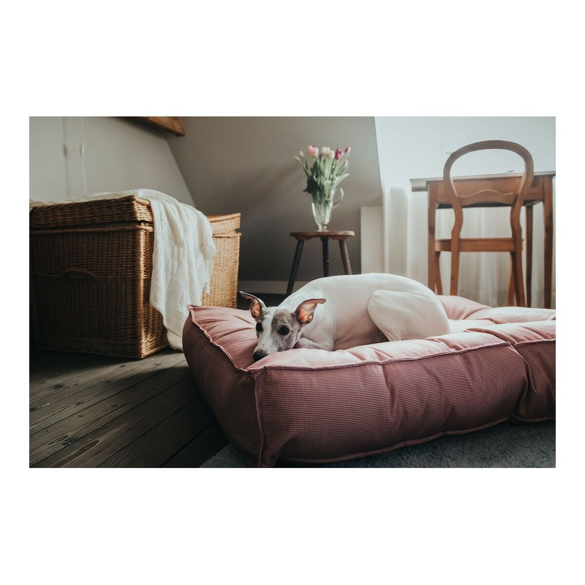 Dog Bed Hunter Lancaster Red 100 x 70 cm