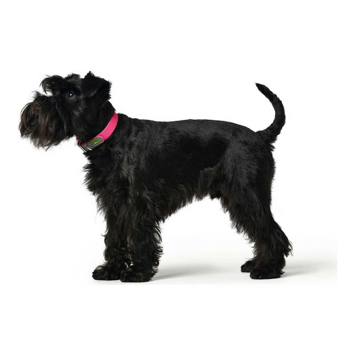 Dog collar Hunter Convenience Pink Size M (38-46 cm)