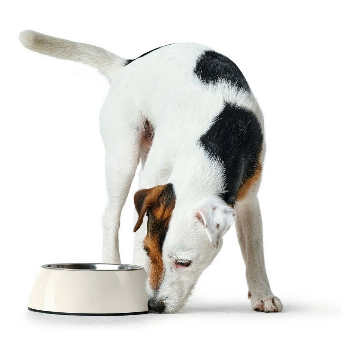Voerbak voor honden Hunter Melamine Roestvrij staal Wit 350 ml (18,5 x 18,5 x 9,5 cm)