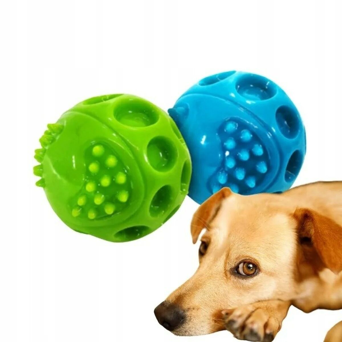 Dog toy Hilton 104-404012-00 Blue Green Natural rubber (1 Piece)