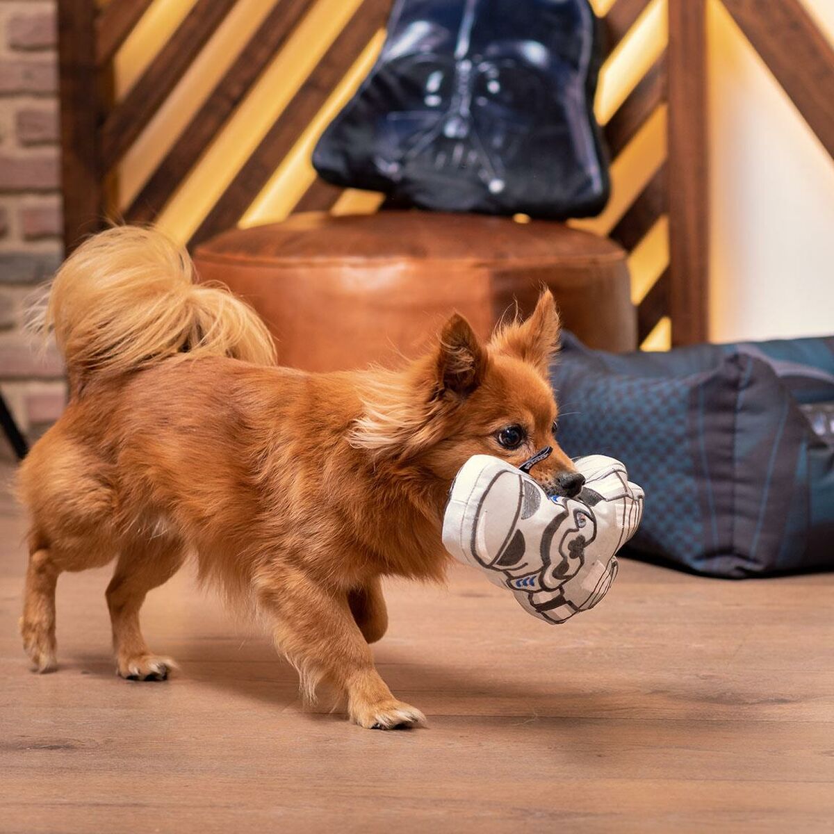 Hondenspeelgoed Star Wars Grijs 100 % polyester