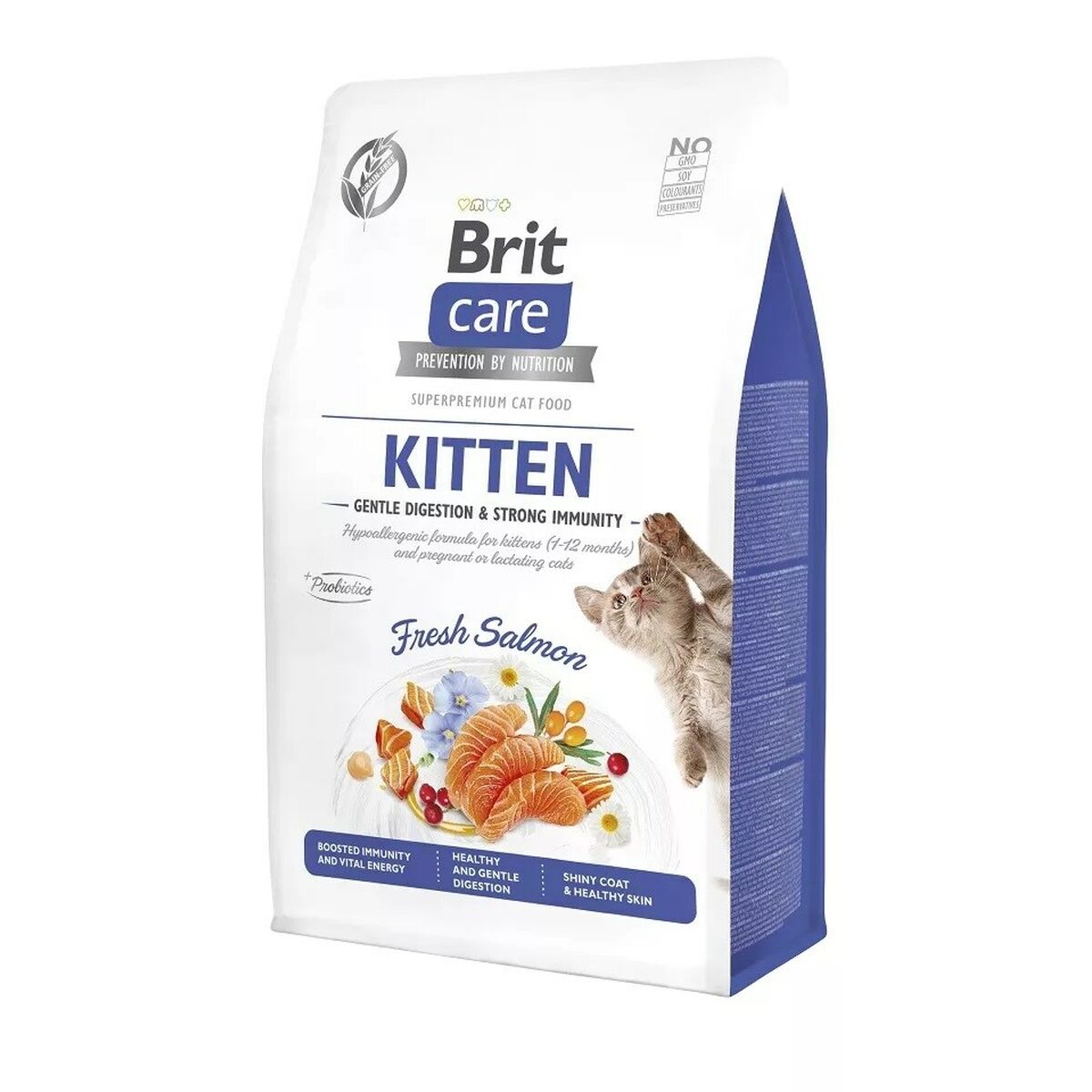 Cat food Brit 100-172542 Salmon 2 Kg