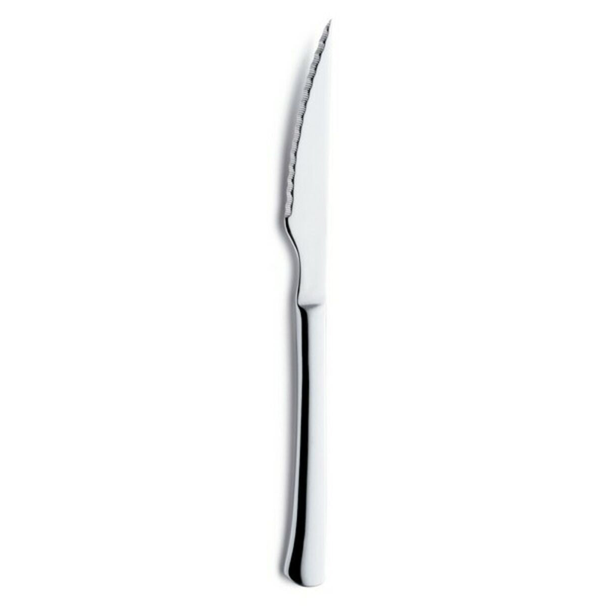 Serrated Knife Amefa 2257 Metal 25 cm (12 Units)