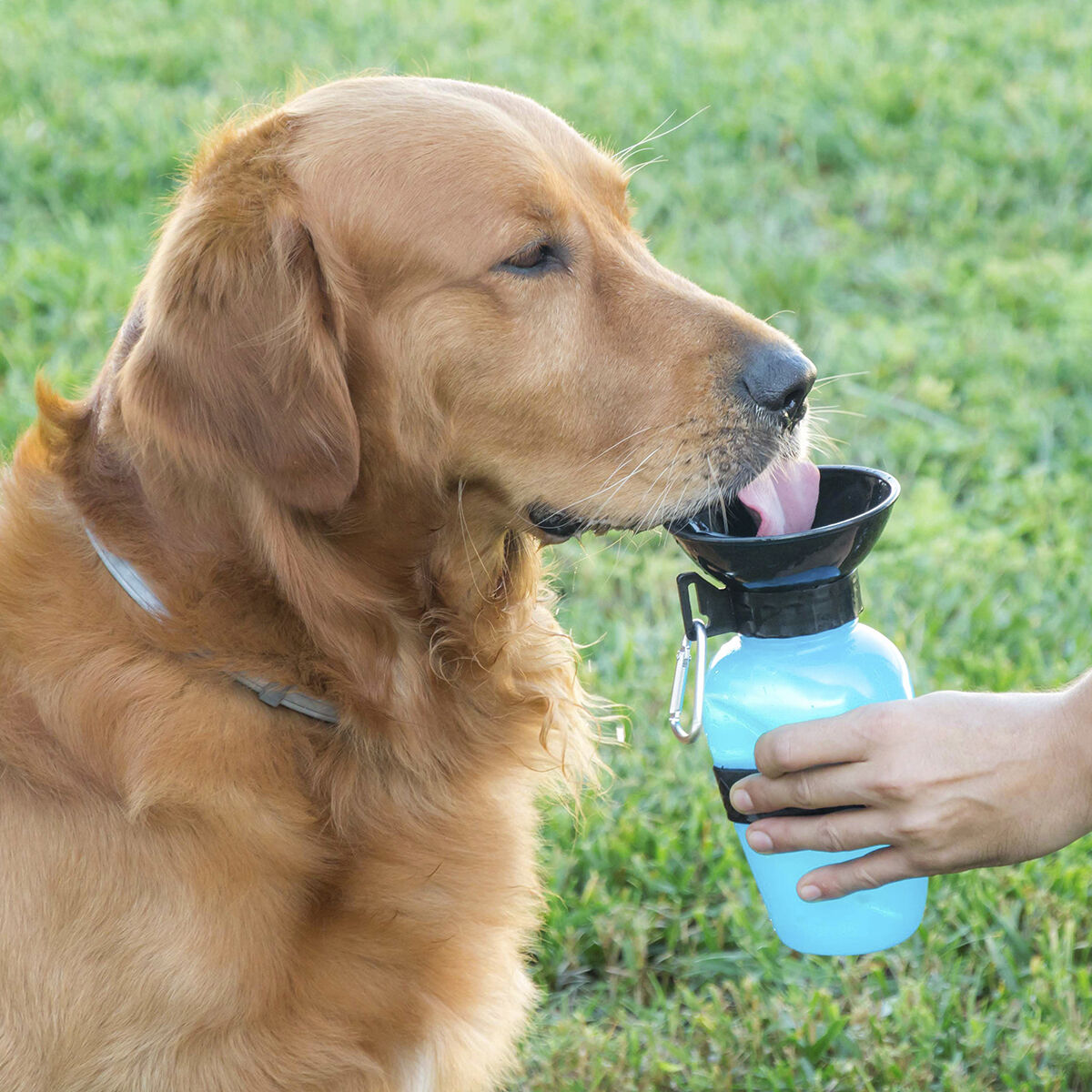 InnovaGoods Waterdrinkfles voor Honden