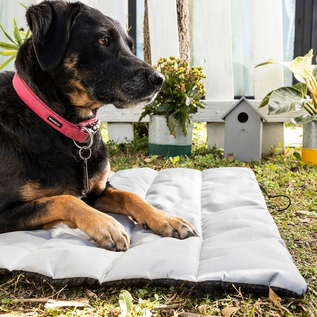 Draagbaar Waterdicht Bed voor Huisdieren Huismat InnovaGoods